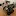 AI-Coordinator.jp Favicon
