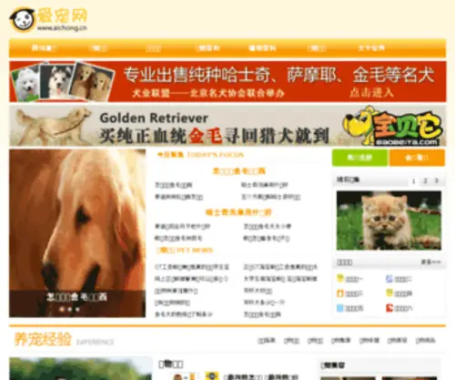 Aichong.cn(Aichong) Screenshot