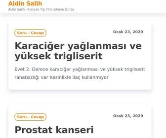 Aidinsalih.net(Aidin Salih) Screenshot