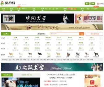 Aigou.com(爱狗网) Screenshot