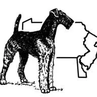 Airedalerescuedelval.org Favicon