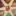 Airflip.info Favicon