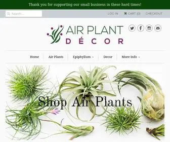 Airplantdecor.com.au(Australian air plant (tillandsia) online store) Screenshot