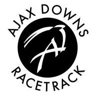 AjaxDowns.com Favicon