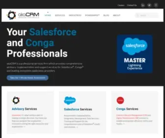Akacrm.com(Professional Services for Salesforce) Screenshot