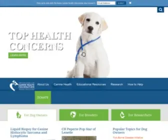 AKCCHF.org(AKC Canine Health Foundation) Screenshot