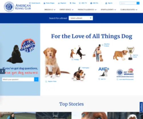 AKC.org(American Kennel Club) Screenshot