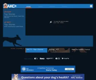 AKC.tv(It's Good Dog TV) Screenshot