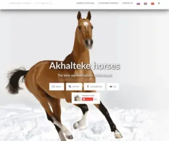 Akhalteke-Sale.com(Akhalteke Horse Center) Screenshot