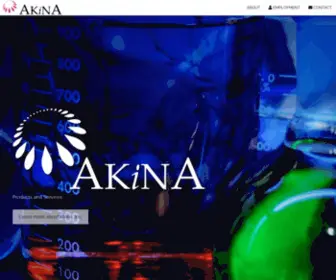 Akinainc.com(Akina Inc) Screenshot