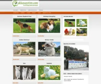 Akkusuretim.com(Akkuş) Screenshot