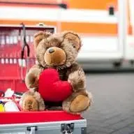Aktion-Teddy.de Favicon