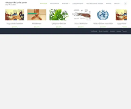Akupunkturile.com(Bilgi Kuvvettir) Screenshot