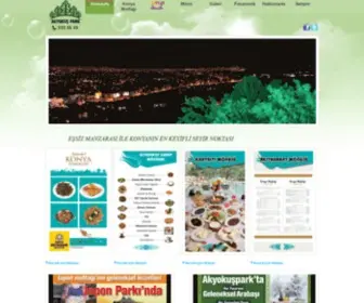 Akyokuskonya.com(Park Konya Mutfa) Screenshot