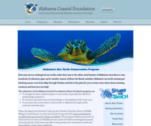 Alabamaseaturtles.com(Share the Beach) Screenshot