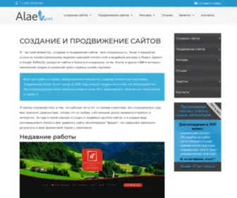 Alaev.net(Частный вебмастер) Screenshot