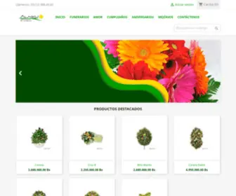 Alagosfloristeria.com(Floristeria) Screenshot