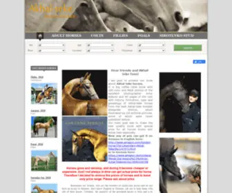 Alania-Stud.com(Akhal-teke horses for sale) Screenshot