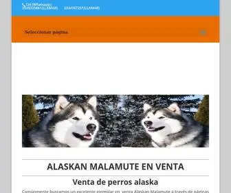 Alaskanmalamuteventa.com(ALASKAN MALAMUTE VENTA CALIDAD Y PRECIO) Screenshot