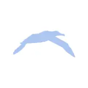 Albatrossparagliding.co.uk Favicon