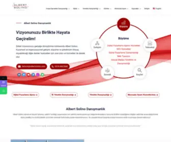 Albertsolino.com(Albert Solino Danışmanlık) Screenshot