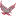 Albertusmagnus.net Favicon