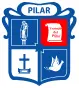 Alertapilar.com.ar Favicon