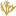 Alexanderclementine.com Favicon