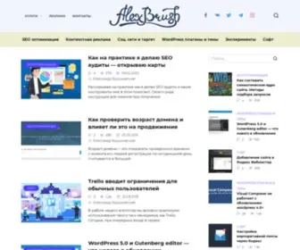 Alexbrush.com(Блог практикующего SEO) Screenshot