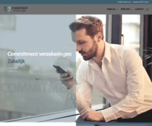 Alfisure.nl(Alfisure) Screenshot