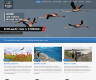 Algarve-Birdwatching.com(Algarve Bird) Screenshot