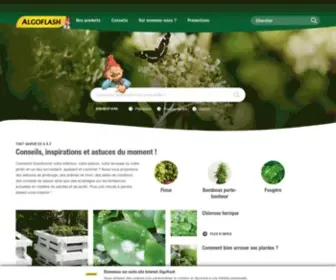Algoflash.fr(Algoflash) Screenshot