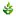 Algojin.com.tr Favicon