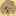 Alicedog.com Favicon