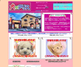 Alicedog.com(仔猫販売専門店) Screenshot