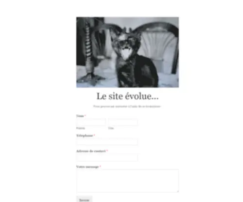 Alicepittavino.com(Création de site vitrine) Screenshot