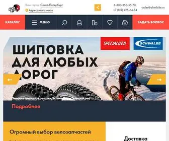 Alienbike.ru(Спортивные товары) Screenshot