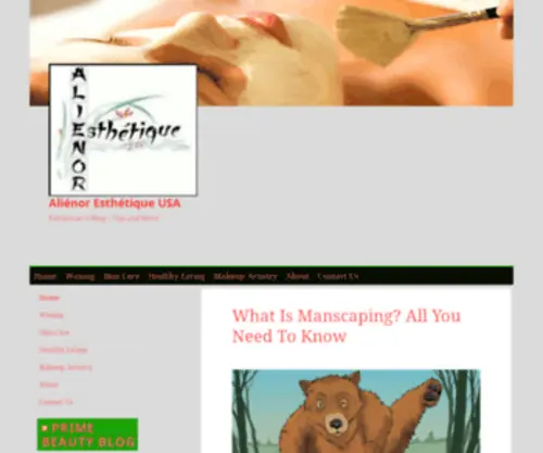 Alienor-Esthetique.com(Ecole privée Alienor Esthétique) Screenshot