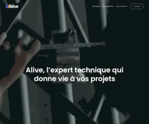 Alive-Groupe.fr(Alive Group) Screenshot