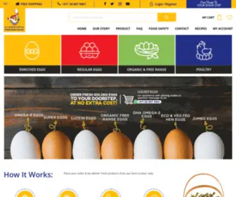 Aljazirapoultry.com(Golden Eggs) Screenshot