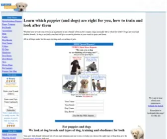 ALL-About-Puppies.com(Puppies and dogs) Screenshot