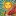 ALL-Magic.Online Favicon