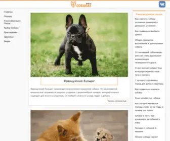 Allaboutdogs.ru(Всё) Screenshot