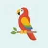Allaboutparrots.com Favicon