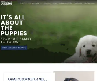 Allaboutpuppiesflorida.com(All About Puppies) Screenshot