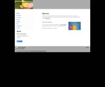 Allamericanleakdetection.net(All American Leak Detection Inc) Screenshot