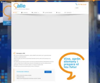 Alleinternational.com(Inici) Screenshot