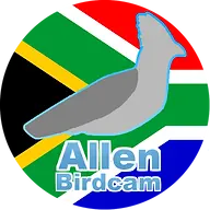 Allenbirdcam.com Favicon