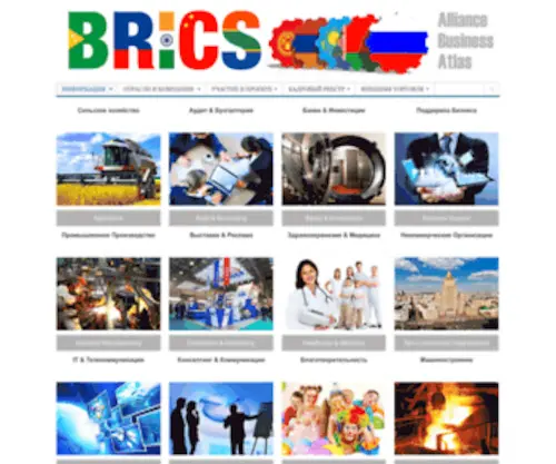 Alliancebrics.biz(ИНФОРМАЦИЯ) Screenshot