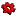 Alliancefrancophone.org Favicon